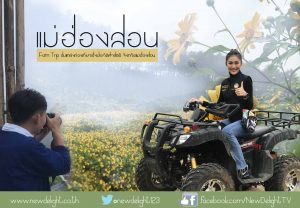 แม่ฮ่องสอน