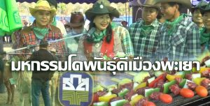 มหกรรมโคพันธุ์ดีเมืองพะเยา